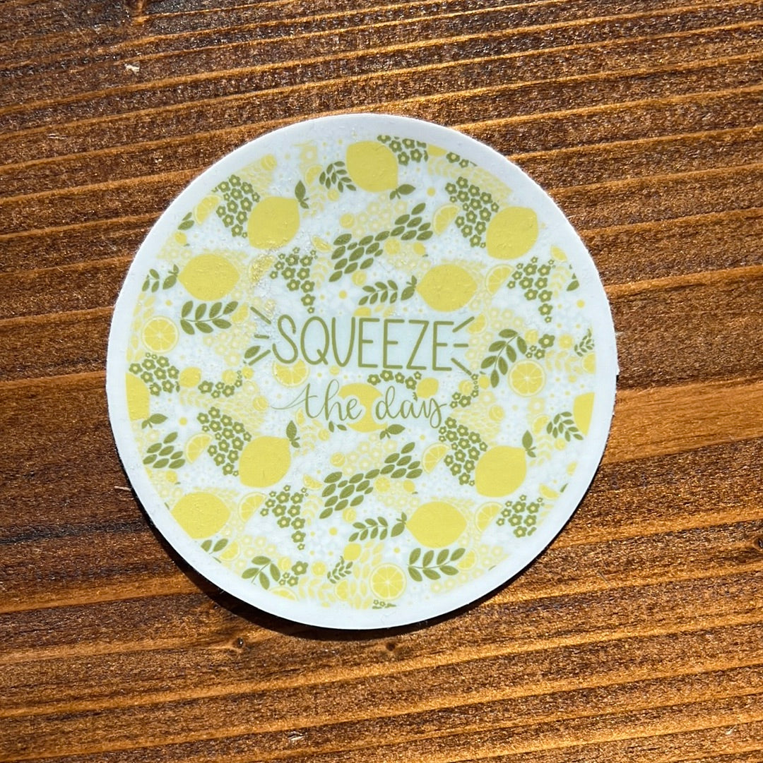 Squeeze the Day Sticker
