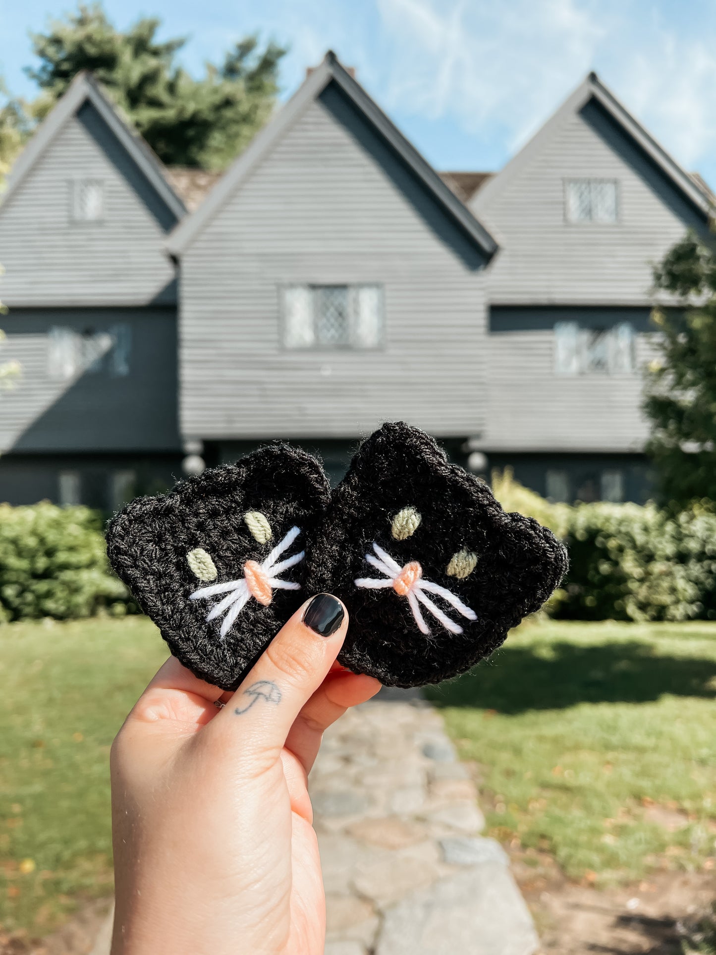 Cat Car Coasters