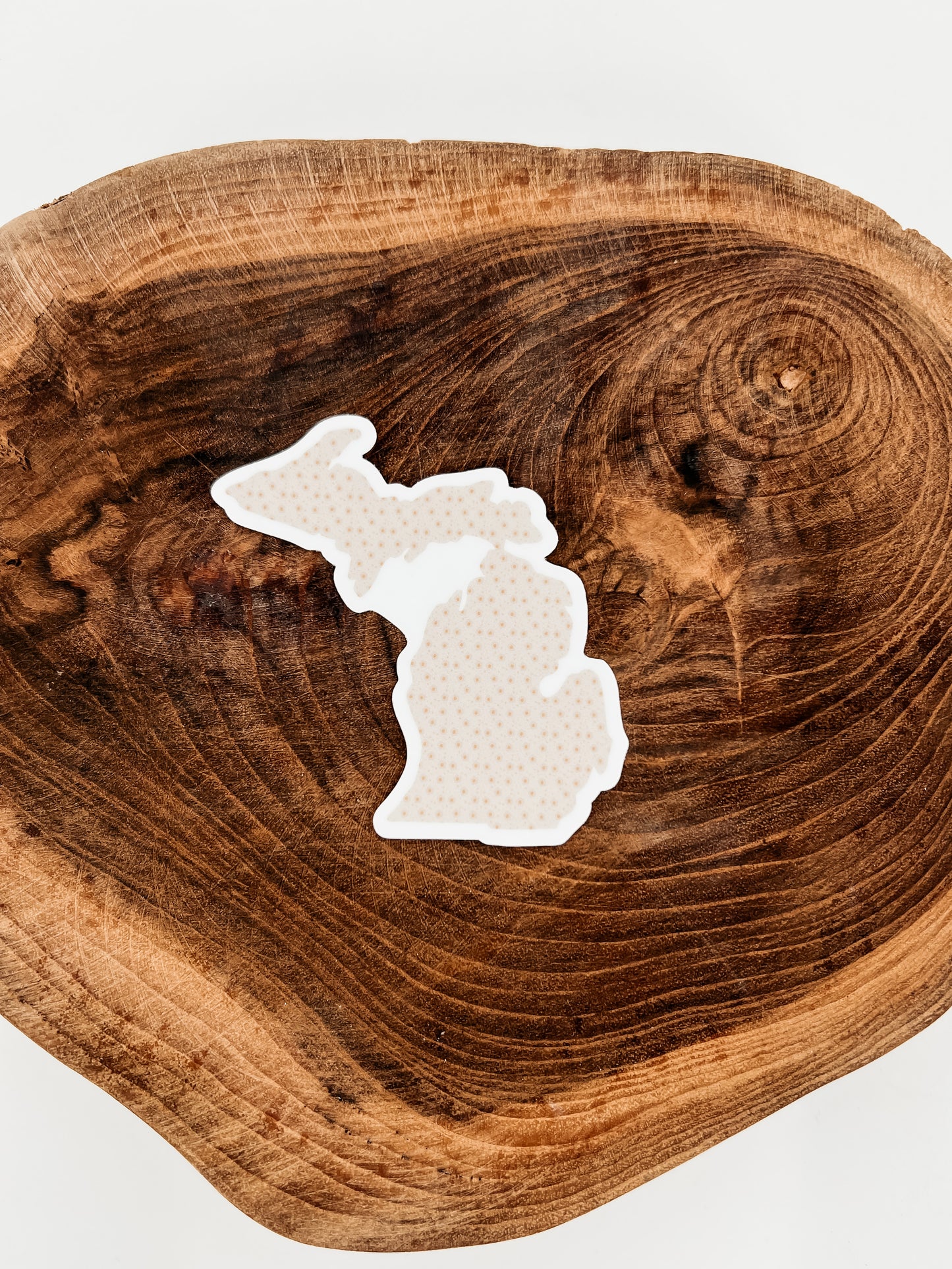 Michigan State Sticker