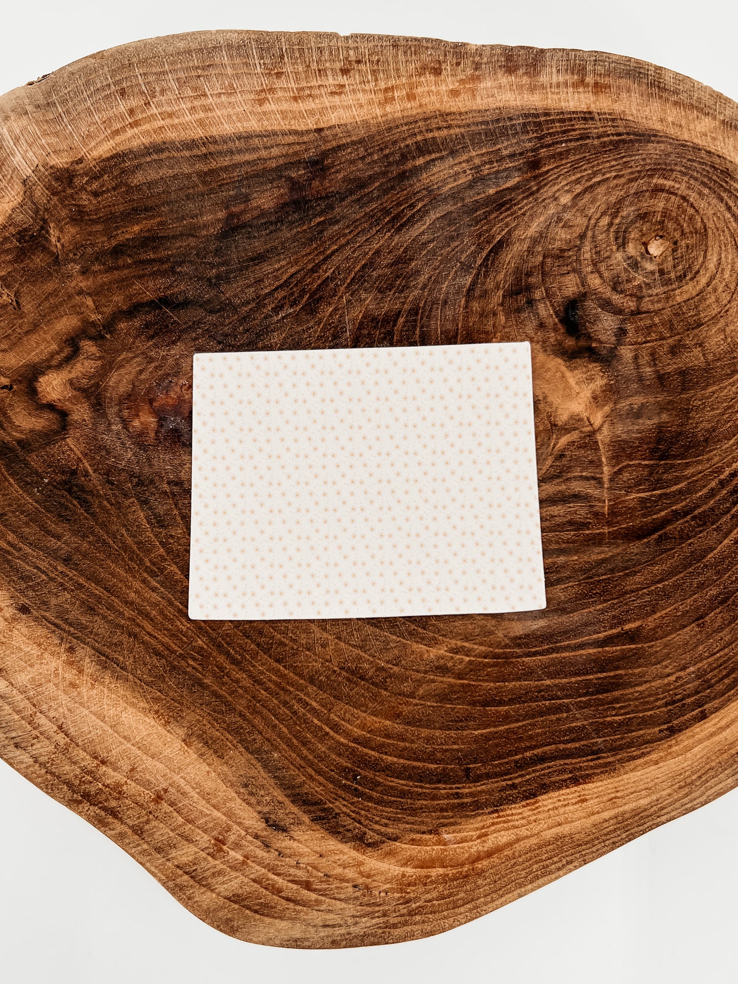 Colorado State Sticker